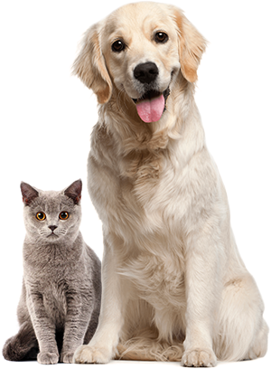 two-pets